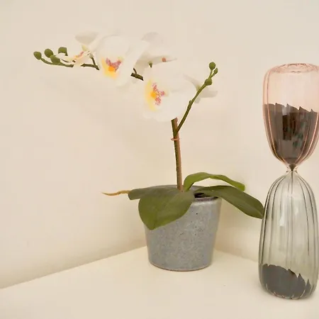 Center Baby Готель типу 