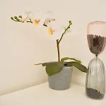 Center Baby Bed & Breakfast Sorrento